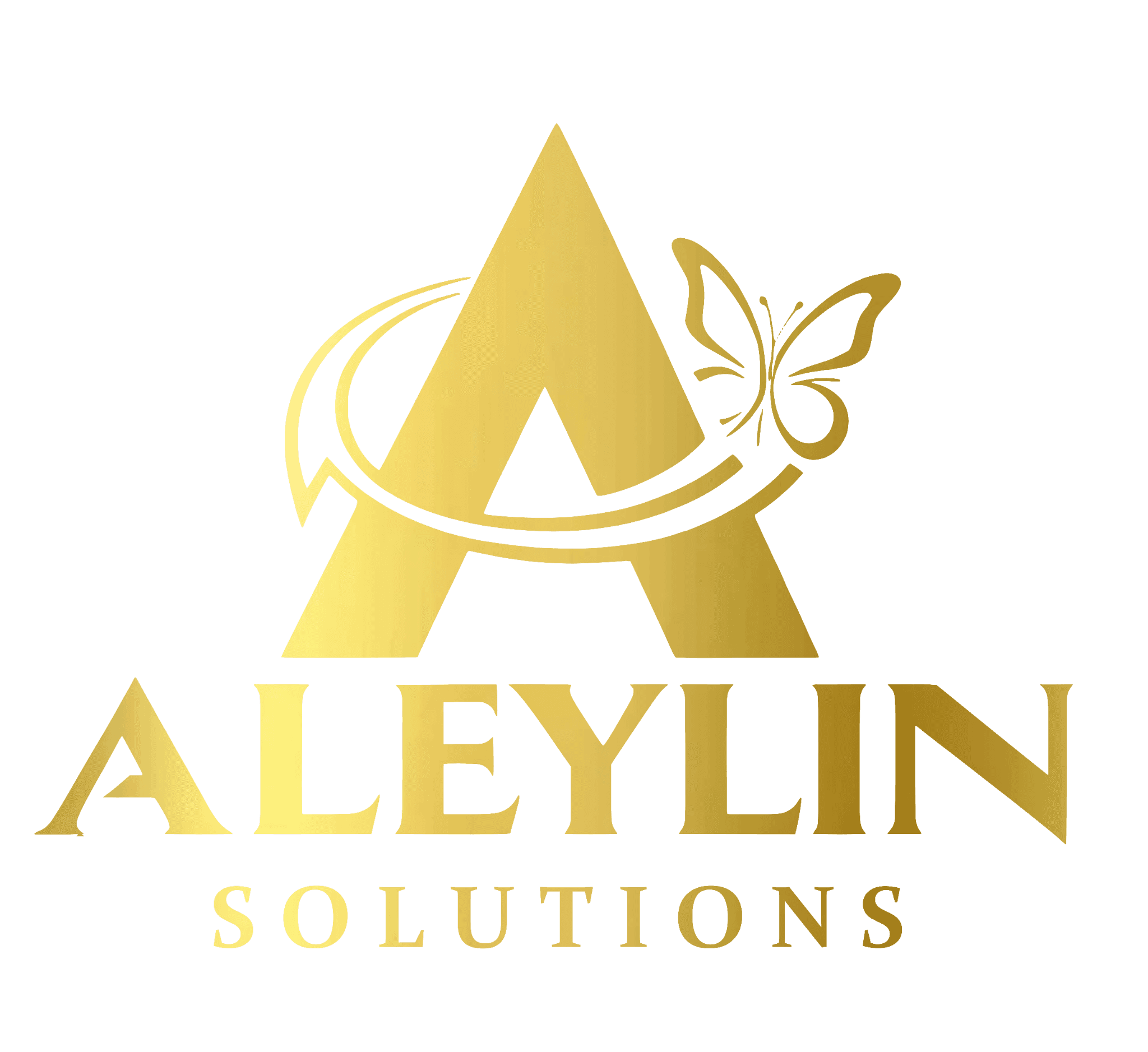Aleylin Solutions
